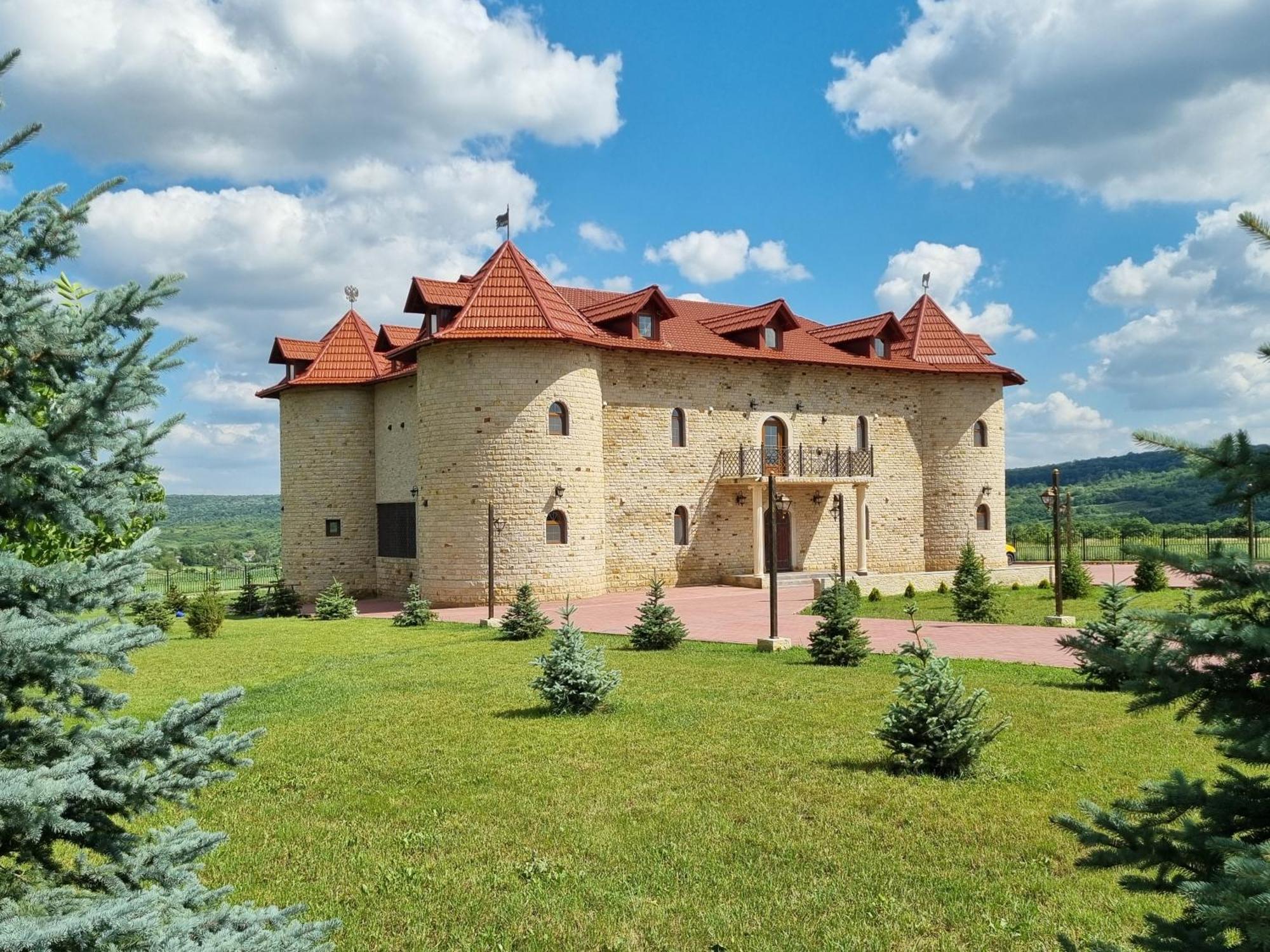 Castel Unghern Ivancea Extérieur photo