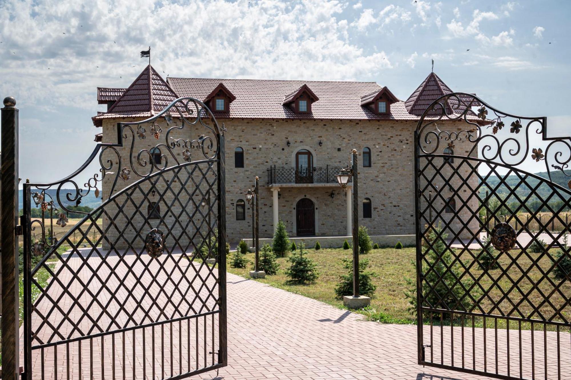 Castel Unghern Ivancea Extérieur photo